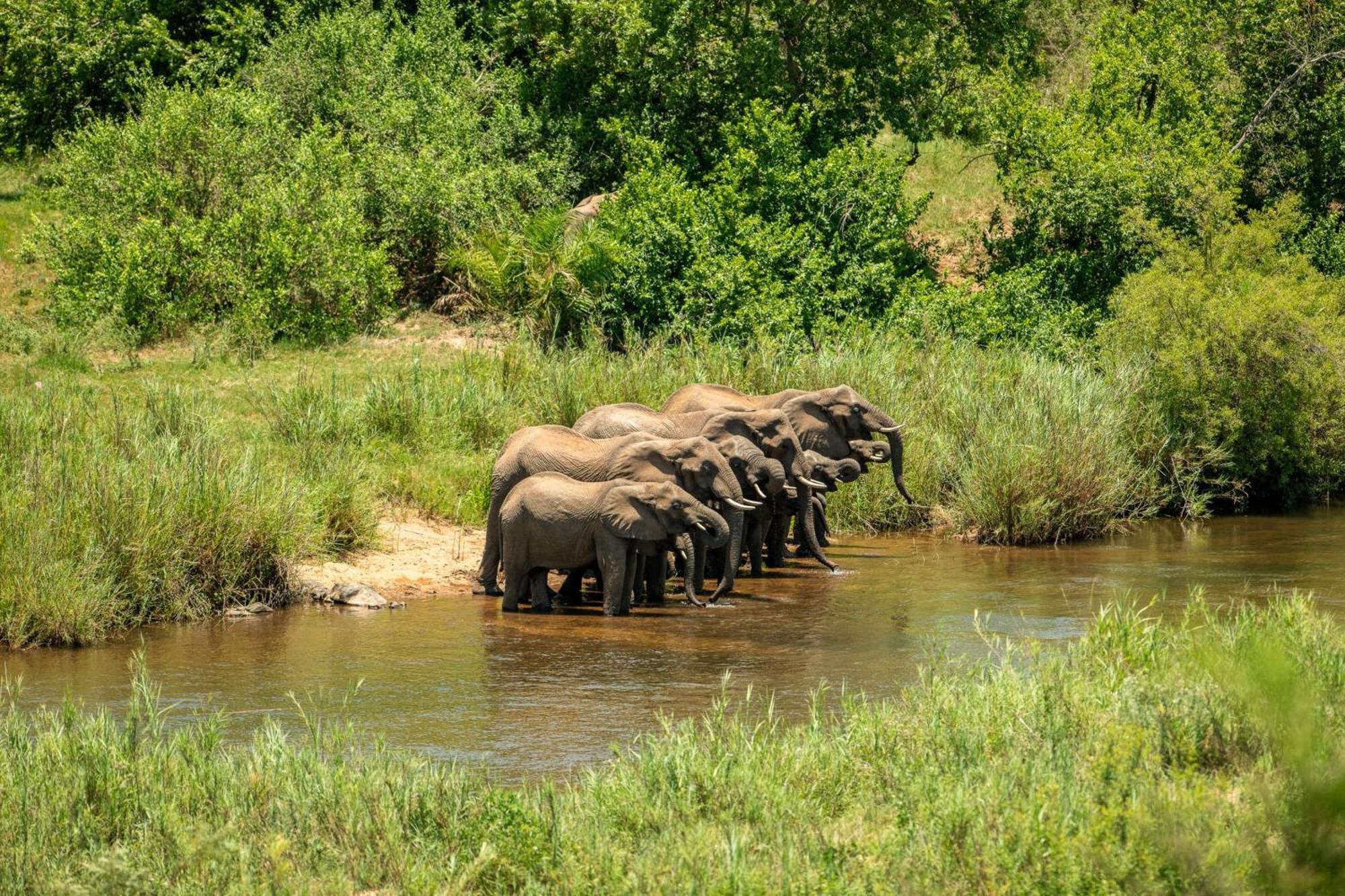 Leopard Sands Kruger Park 스쿠쿠자 외부 사진