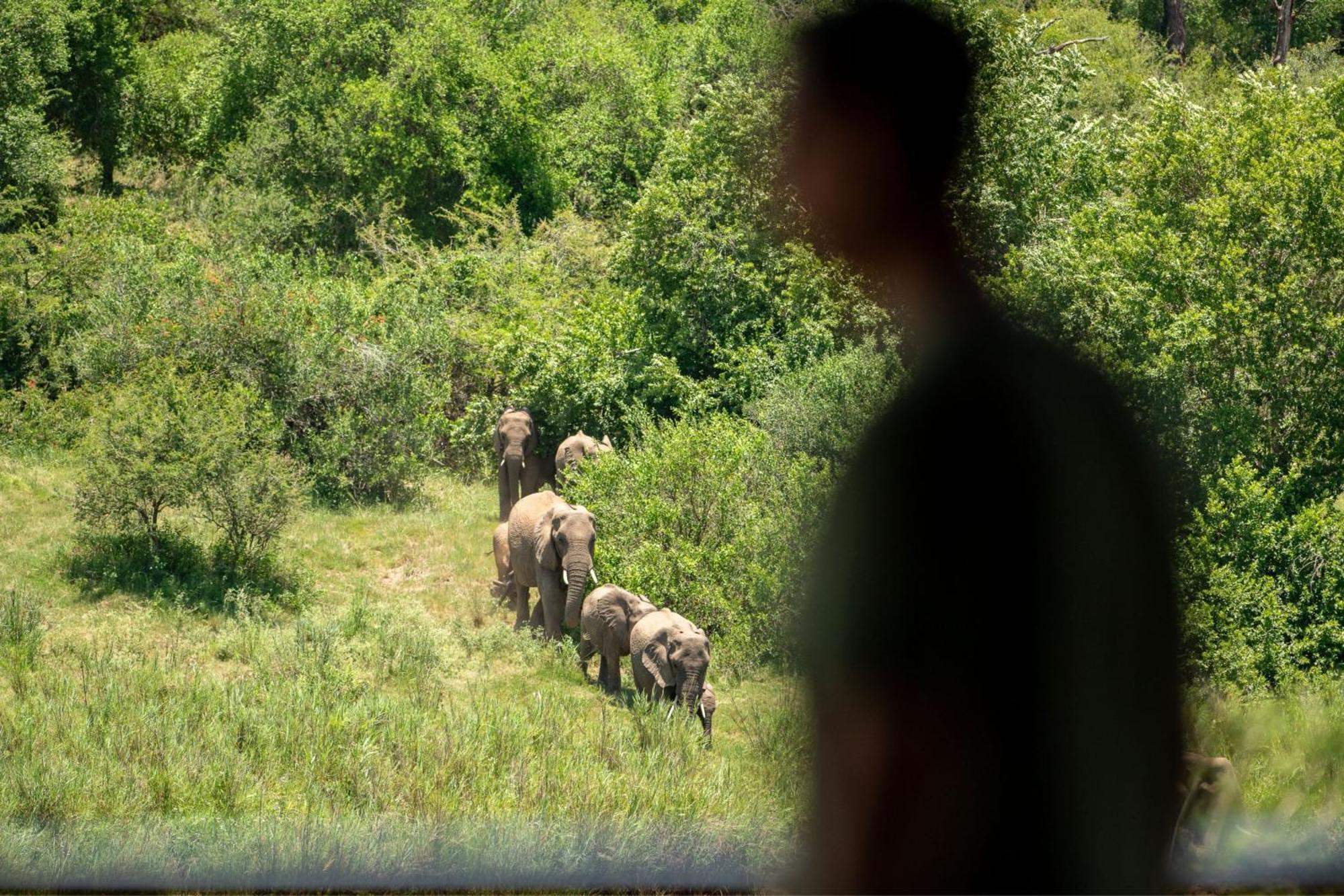 Leopard Sands Kruger Park 스쿠쿠자 외부 사진