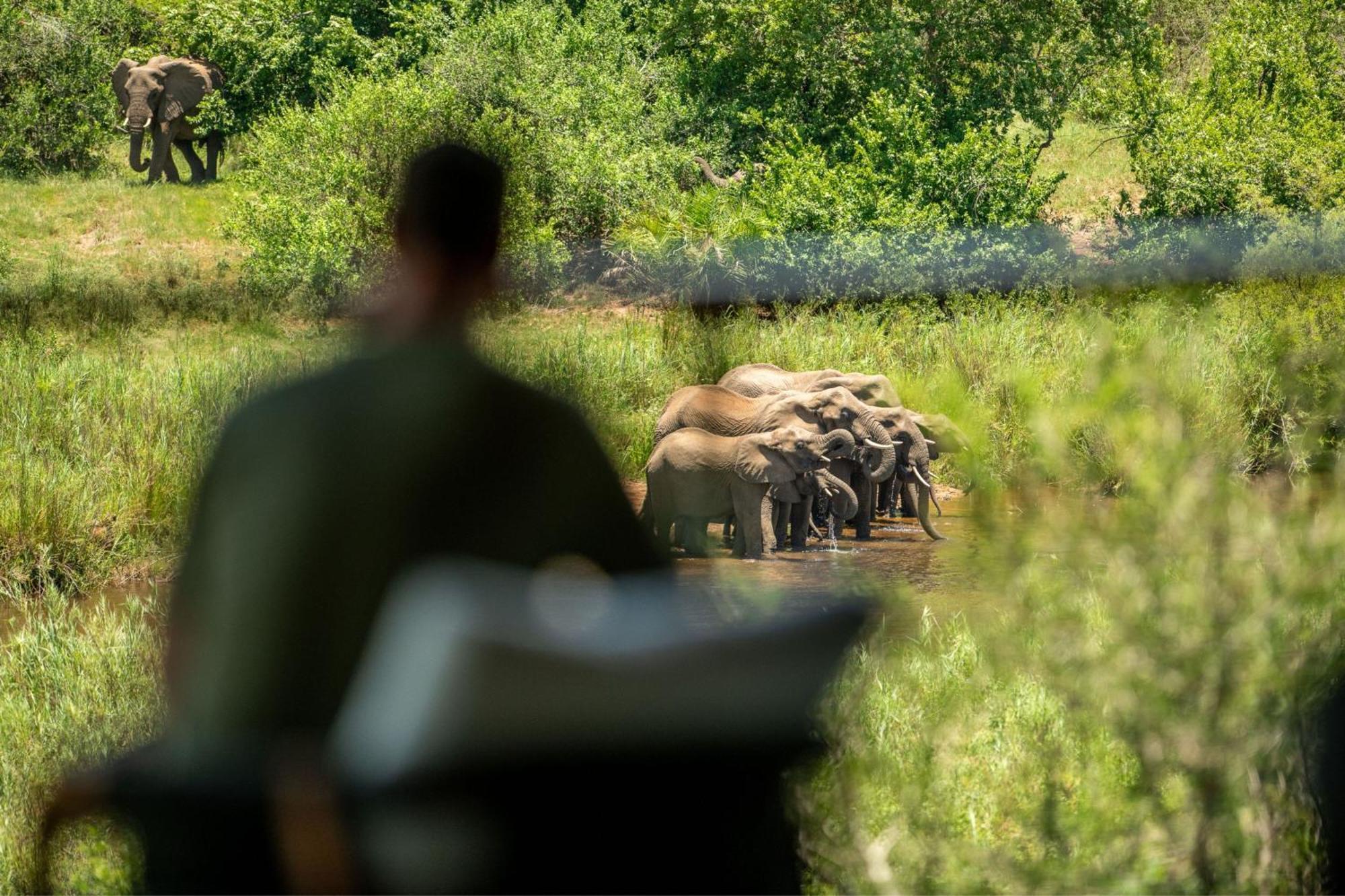 Leopard Sands Kruger Park 스쿠쿠자 외부 사진