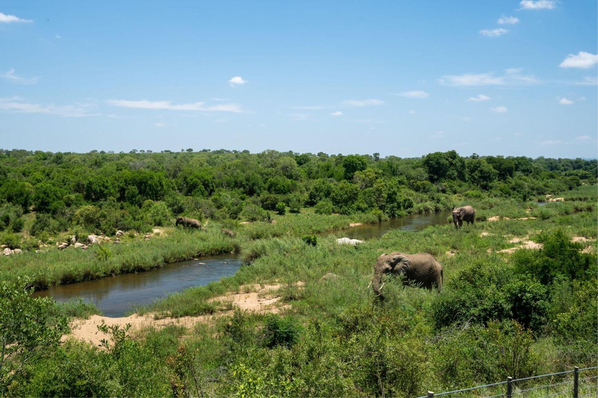 Leopard Sands Kruger Park 스쿠쿠자 외부 사진